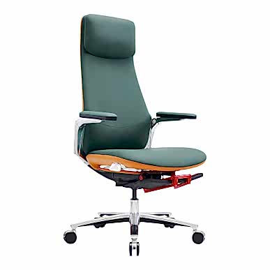 Cayan Kızak Mekanizmalı Yönetici Koltuğu - Makam Koltukları